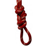 【美國 New England Ropes】 KMIII 50米 靜力繩 11.0mm 紅色